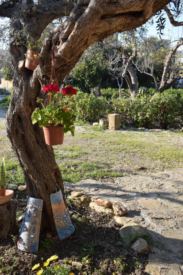 Casa Dell'Olio - Al Baglio Βίλα Paceco Εξωτερικό φωτογραφία