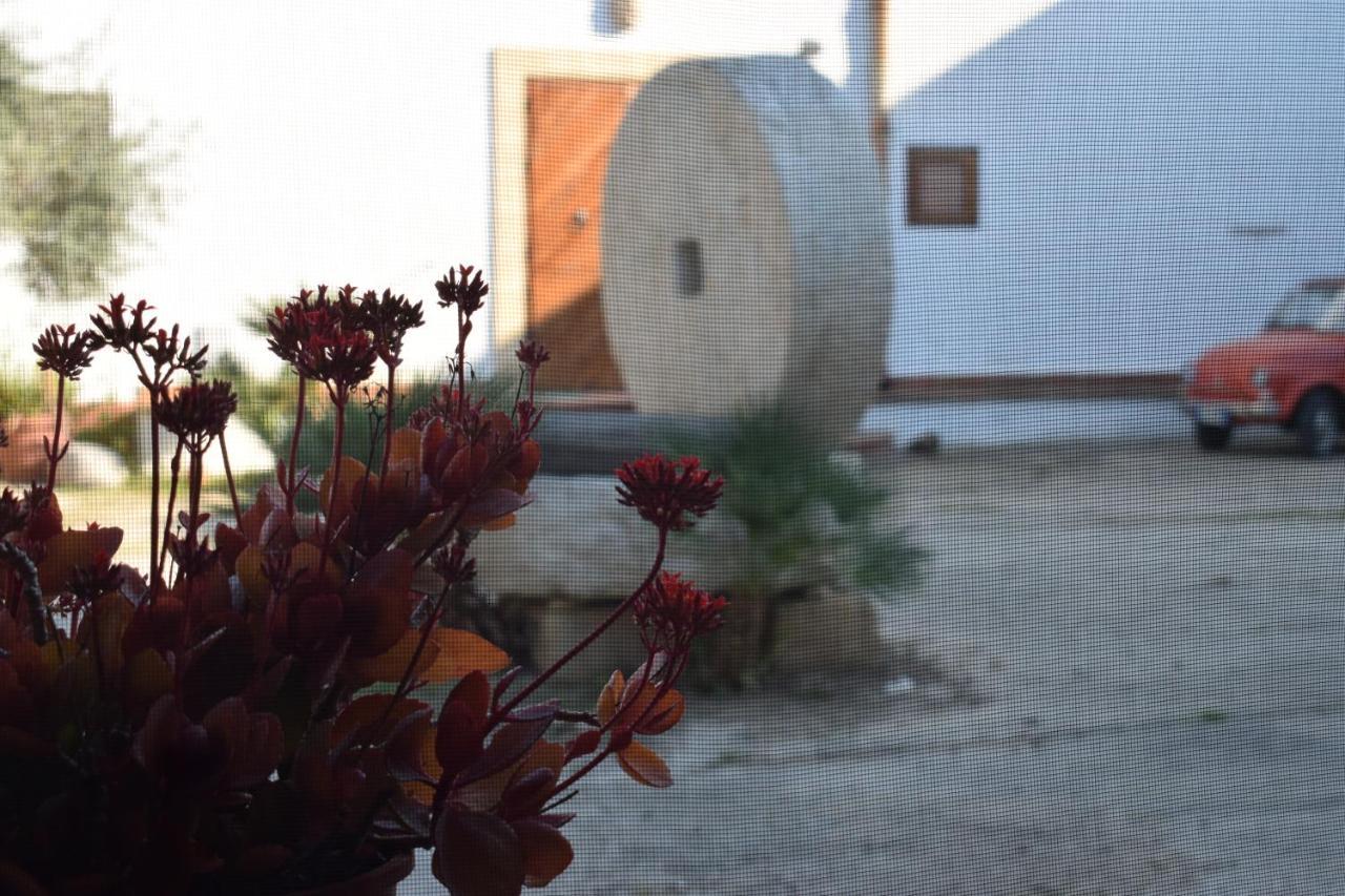 Casa Dell'Olio - Al Baglio Βίλα Paceco Εξωτερικό φωτογραφία