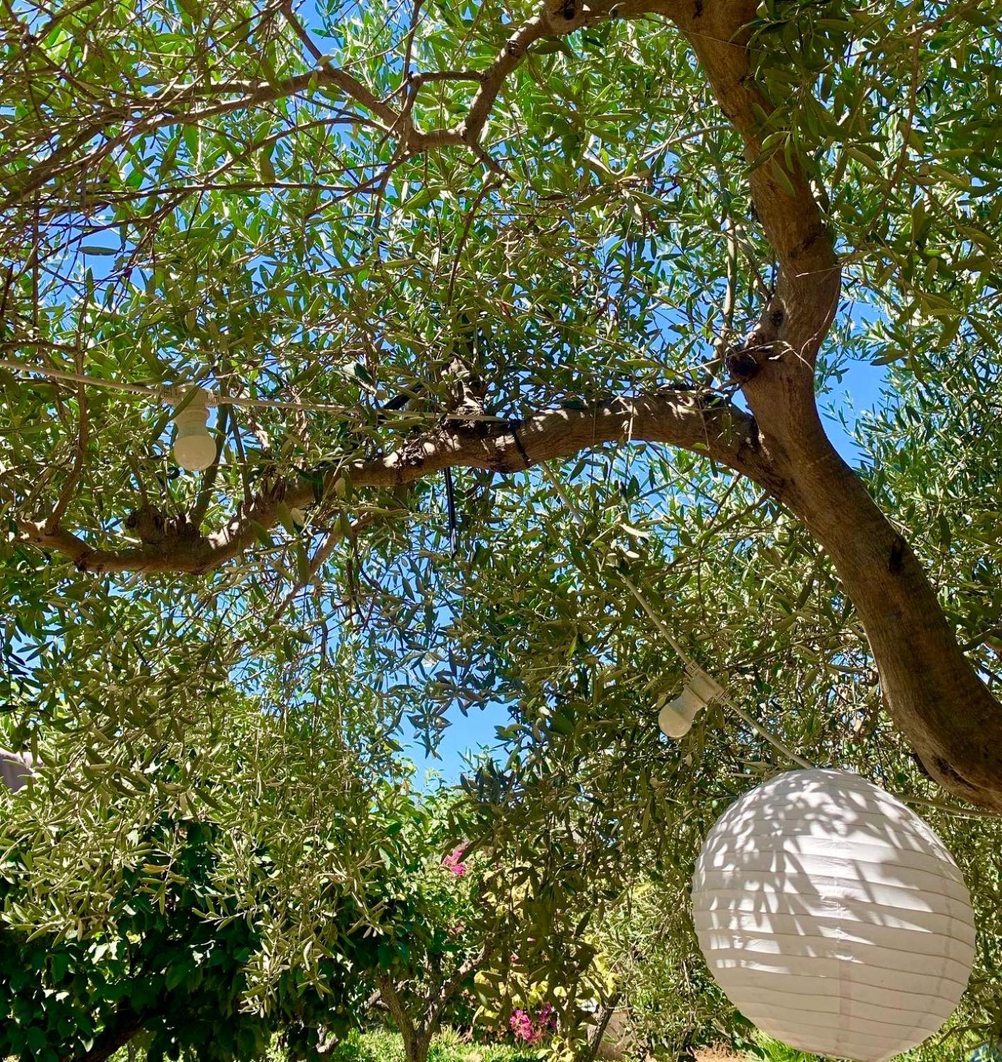 Casa Dell'Olio - Al Baglio Βίλα Paceco Εξωτερικό φωτογραφία